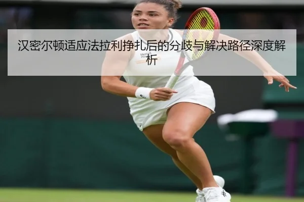 han-mi-er-dun-shi-ying-fa-la-li-zheng-zha-hou-de-fen-qi-yu-jie-jue-lu-jing-shen-du-jie-xi-2-780.jpg